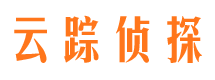 武陵市调查公司